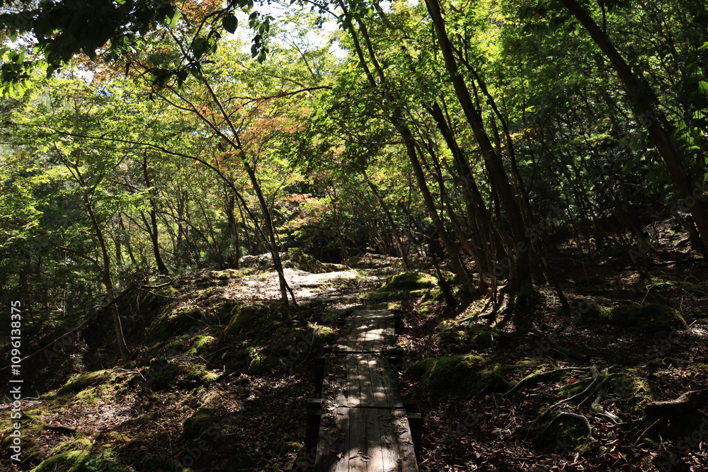 Naklejka premium 龍王峡