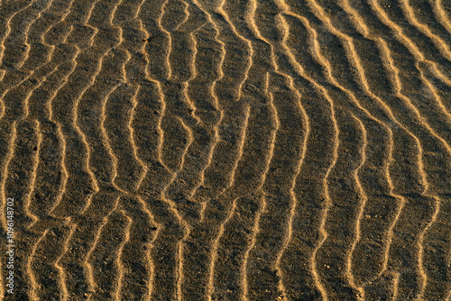 plage de Piémanson au bord de la mer Méditerranée