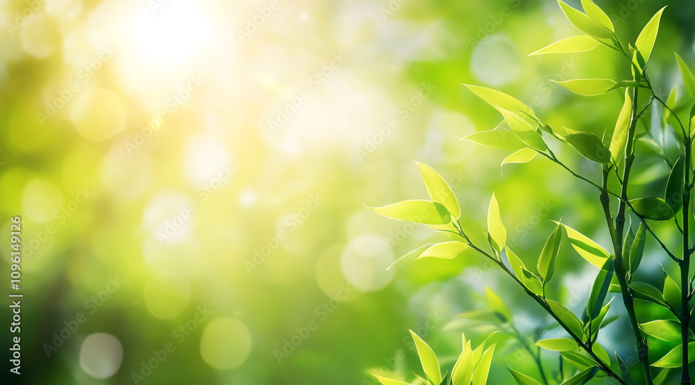 Lush green leaves illuminated by soft sunlight in a serene natural setting during early morning hours Lush green leaves illuminated by soft sunlight in a serene natural setting during early morning hours