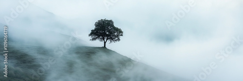 A single tree on a foggy mountainside