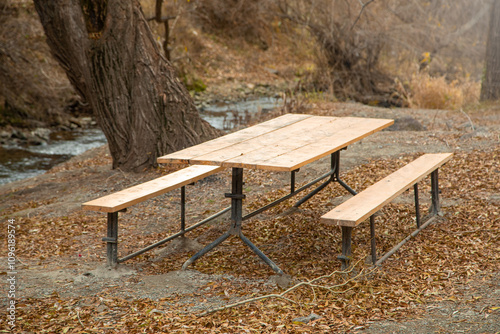 Wooden benches and table in forest at autumn.