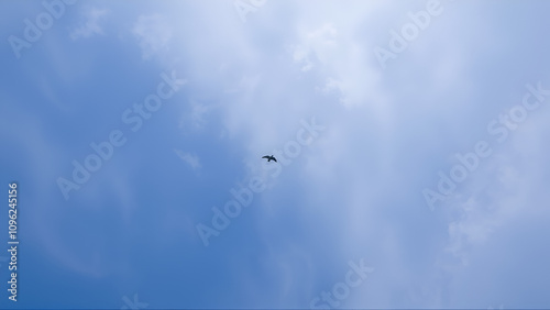 Taglio bianco su cielo azzurro. Aria confessata dal passaggio di un aereo. photo