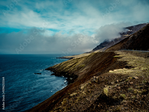 Les rivages sauvages : Contrastes islandais entre mer et montagne photo