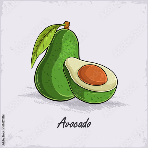 Hand drawn fresh healthy green full and cut out avocado with seed inside rich of fibers and vitamins