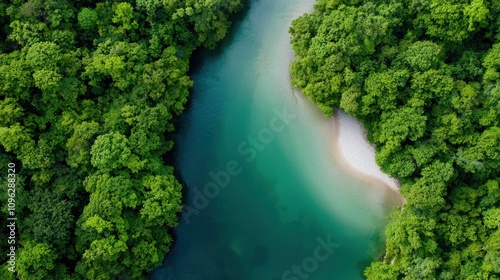 Aerial View of Winding River Cutting Through Dense Forest Surrounded by Vibrant Green Canopy and Pristine Shoreline in Tranquil Nature Scene