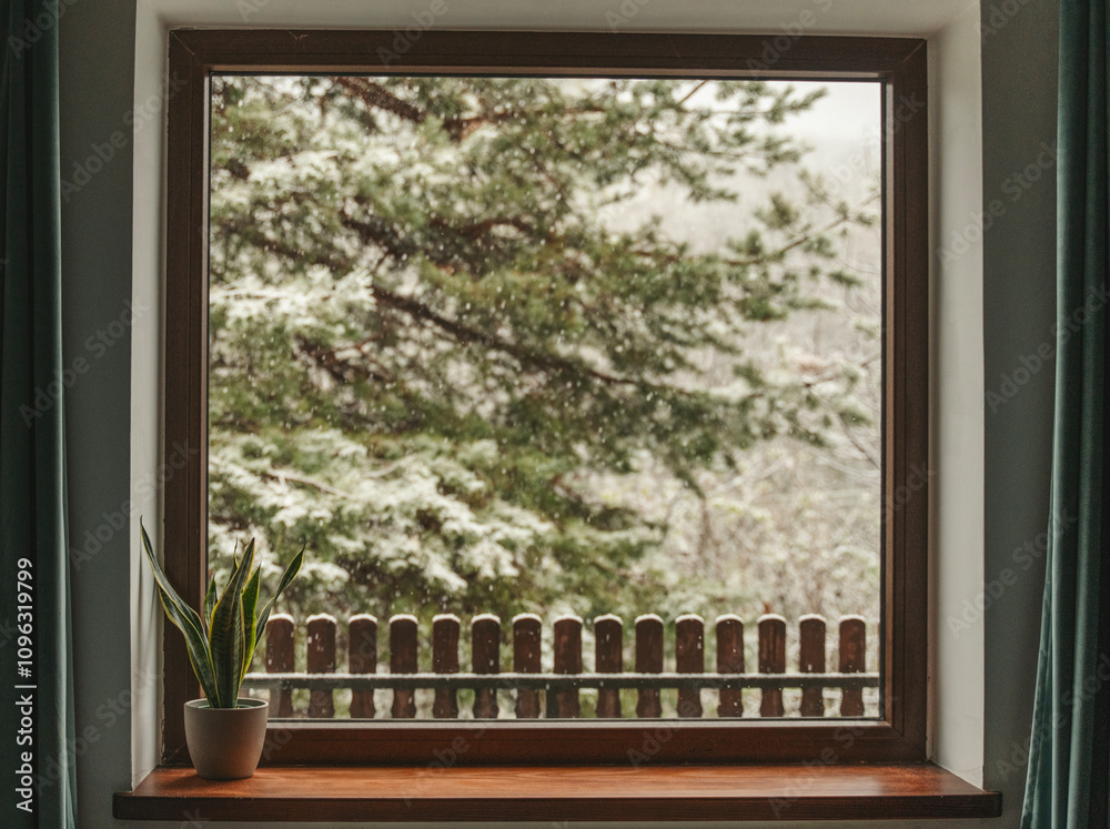 A window in a country cottage overlooking a pine tree and snowfall. Potted plant on the windowsill