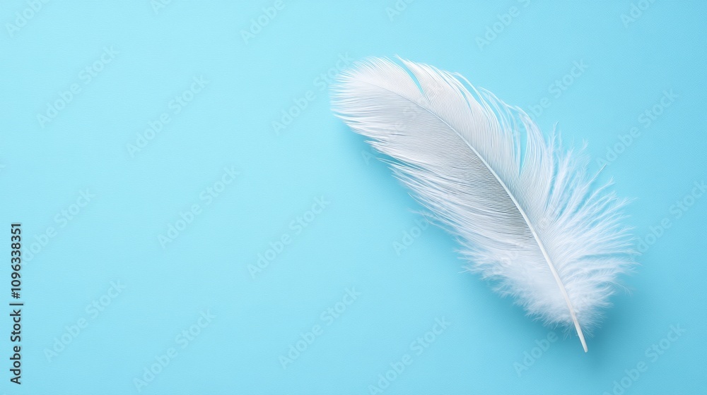 A single white feather on a light blue background. A single white feather on a light blue background.