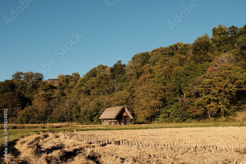 Historic Villages of Shirakawa-go and Gokayama, japanese old village, field, mountain, house, autumn photo