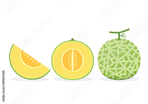 Melon logo vector. melon on white background. Half melon.