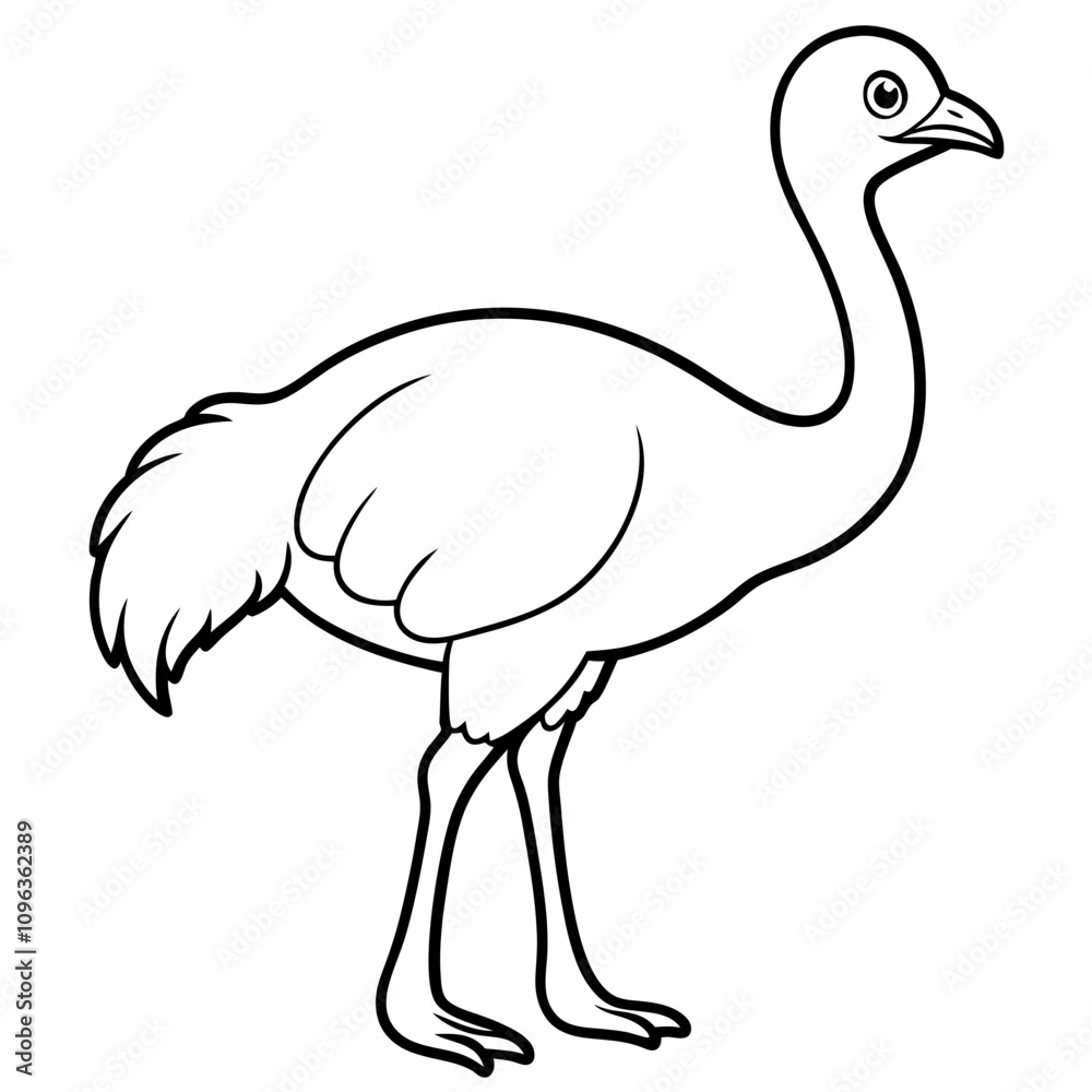 ostrich vector illustration line art transparent background ostrich vector illustration line art transparent background