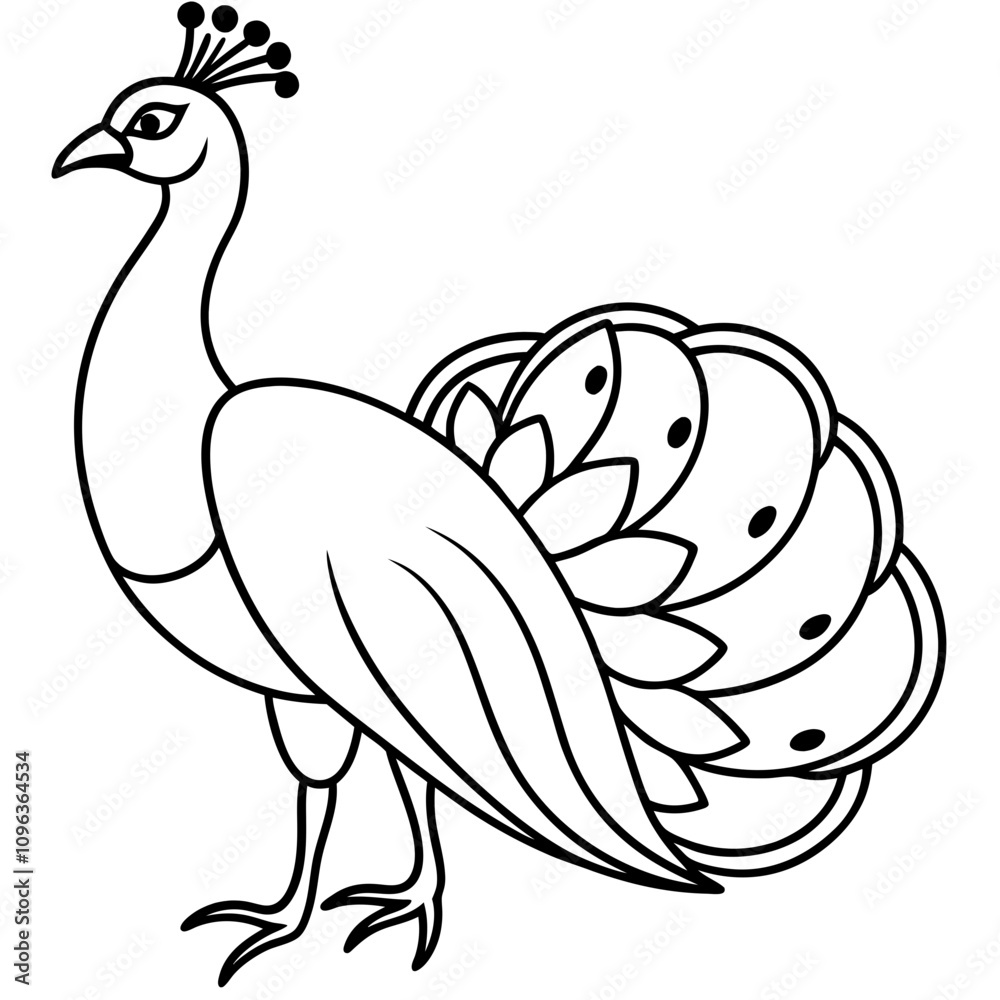Fototapeta premium peacock vector illustration line art transparent background