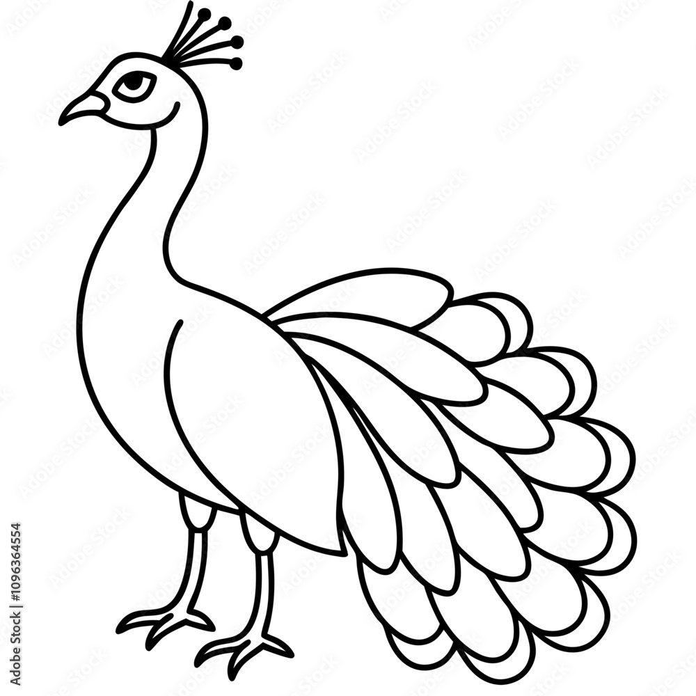 Fototapeta premium peacock vector illustration line art transparent background