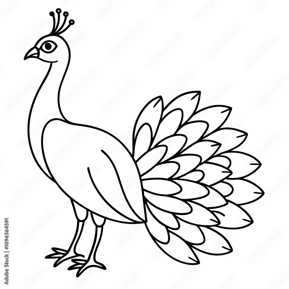 Fototapeta premium peacock vector illustration line art transparent background