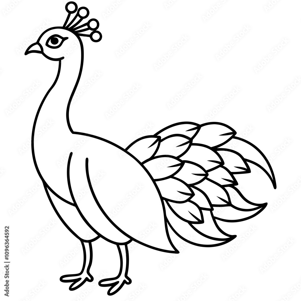 Naklejka premium peacock vector illustration line art transparent background