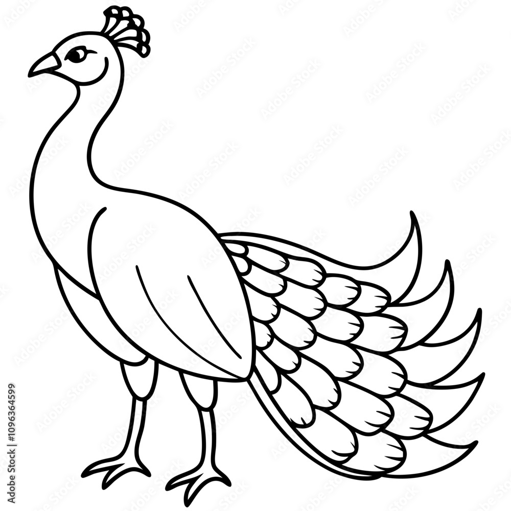 Fototapeta premium peacock vector illustration line art transparent background
