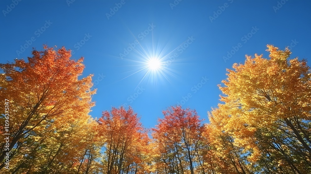 Artistic capture of sun-drenched maple leaves with bright autumn hues and a vivid blue sky Artistic capture of sun-drenched maple leaves with bright autumn hues and a vivid blue sky