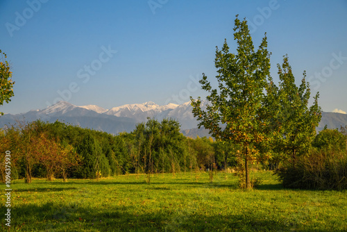 landscape in the mountains