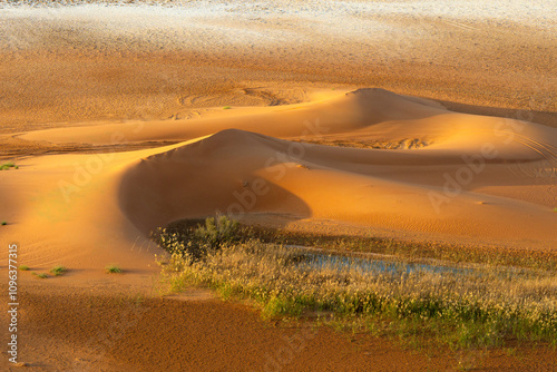Fototapeta Naklejka Na Ścianę i Meble -  sand dunes in the desert