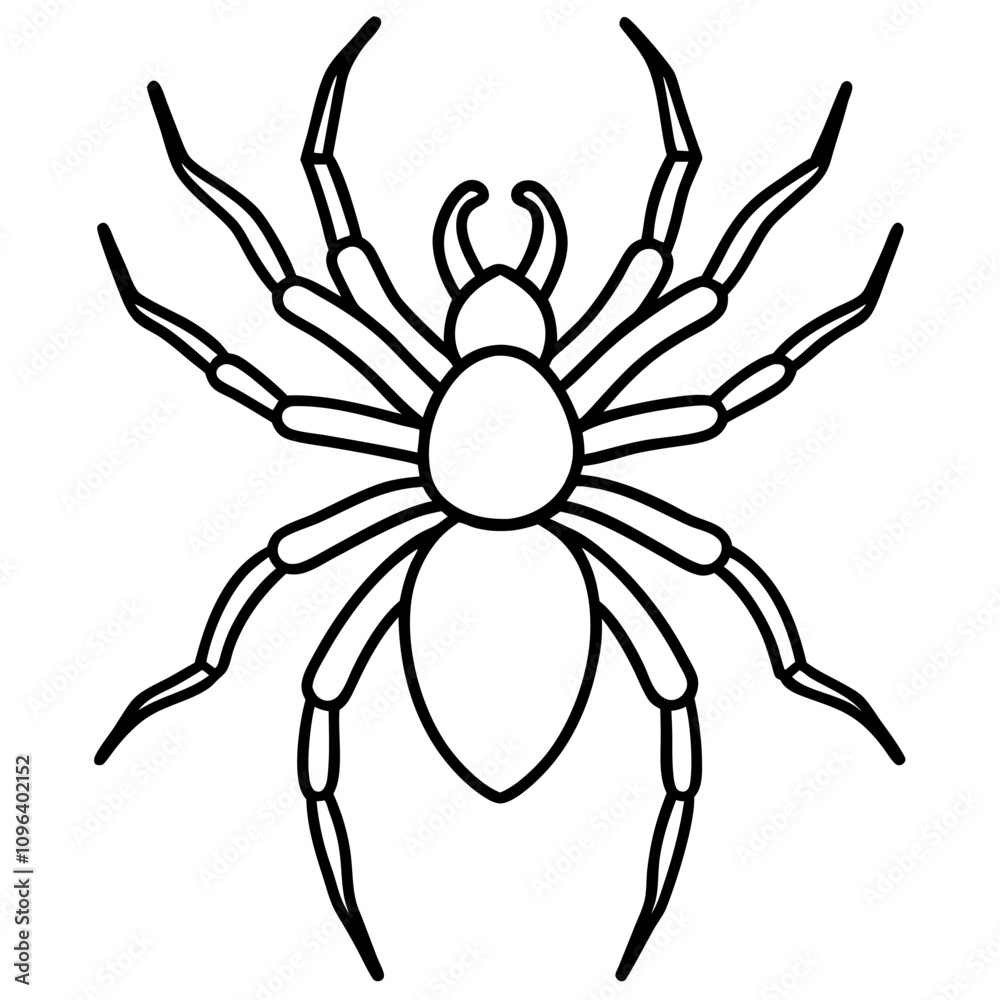 Obraz premium spider vector illustration isolated line art transparent background