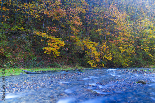 Autumn in the Arditurri river. Arditurri river in the Aiako Harriak Natural Park, Euskadi