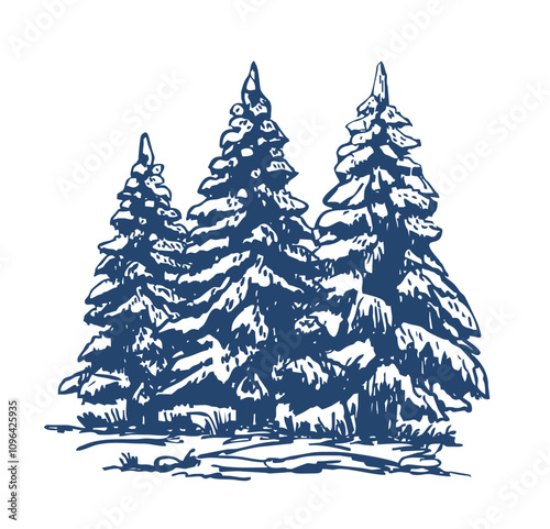 Winter fir sketch. Pine and spruce trees. sketch illustration. Forest and nature hand drawn design elements set