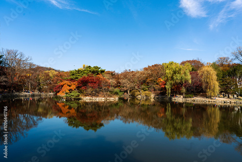 Wallpaper Mural 늦가을 창경궁 춘당지의  단풍- 종로구, 서울 대한민국 Torontodigital.ca