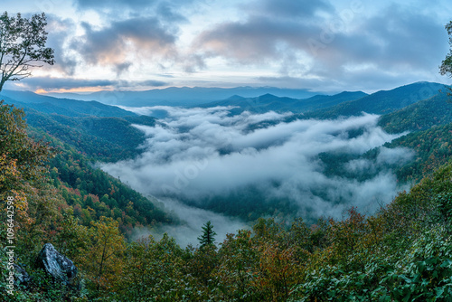 fog in the mountains