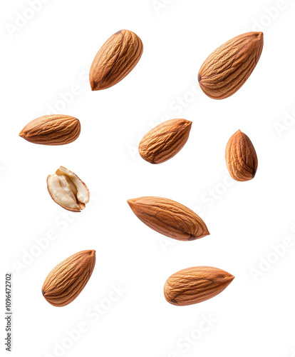 Wallpaper Mural Nuts on transparent background Torontodigital.ca