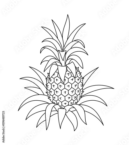 Pineapple Plant. Vector editable outline line stroke.