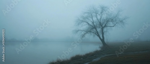 A foggy landscape featuring a solitary tree by a calm lake.