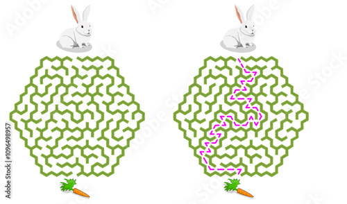 Help bunny pass through green hedge maze to find carrot. Feed the hungry pet labyrinth. Family riddle for kids and parents with solution - red passing route