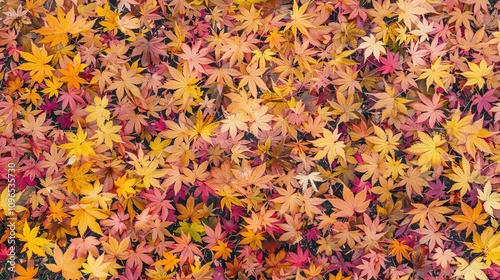 Autumn orange banner with blurred maple leaves, ideal for seasonal designs and fall projects.