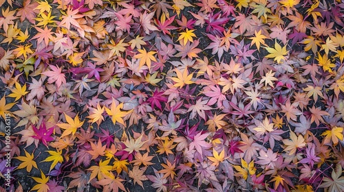 Autumn orange banner with blurred maple leaves, ideal for seasonal designs and fall projects.