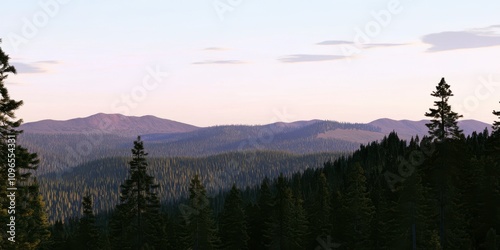 Majestic Mountain Range and Pine Forest View