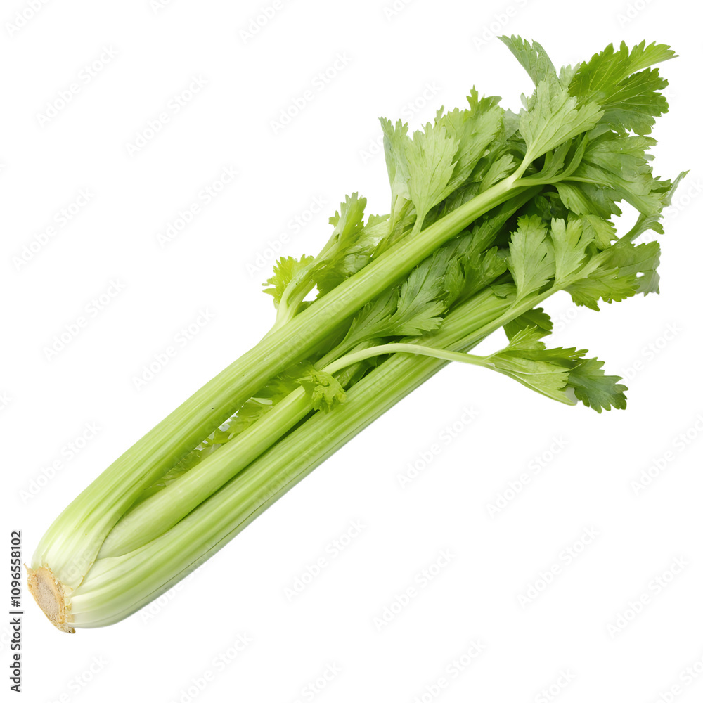 Single Celery White Background. Single Celery White Background.