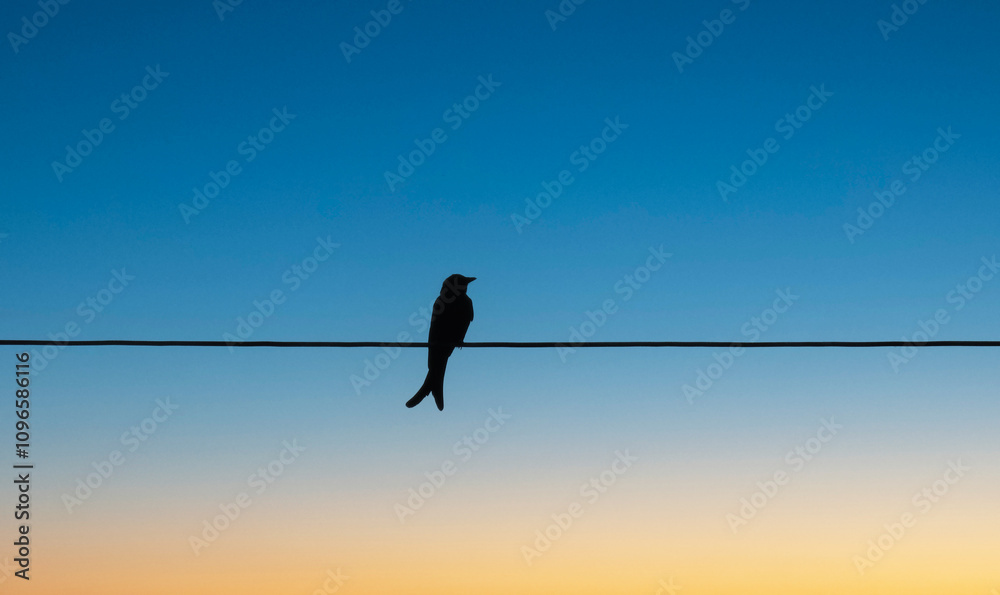 A bird perched on a wire against a stunning gradient sky at dusk, capturing the peaceful essence of nature. A bird perched on a wire against a stunning gradient sky at dusk, capturing the peaceful essence of nature.