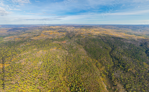 Bazhukovo, Russia. Autumn landscape. Deer streams. Nature park in a wooded area, famous for its rich flora. Aerial view photo