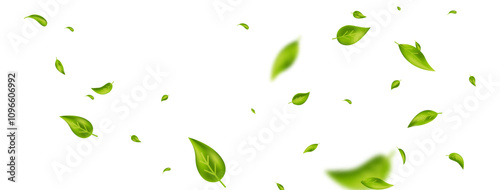 Green falling wave leaves border. Flying foliage ornament. Organic, vegan design element. Leaf eco banner. Cosmetic pattern. Fresh tea background. Beauty product frame. Vector illustration