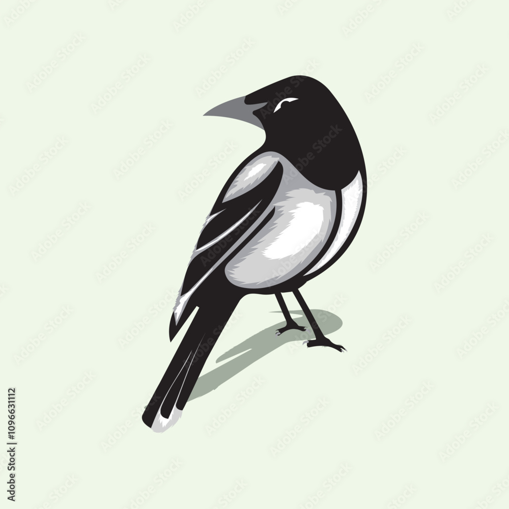 Fototapeta premium Bold Black amp White Magpie Vector Art