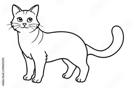 cat cartoon