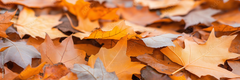 A vibrant collection of autumn leaves in various shades of orange, red, and brown, beautifully scattered on the ground, embodying the essence of the fall season. A vibrant collection of autumn leaves in various shades of orange, red, and brown, beautifully scattered on the ground, embodying the essence of the fall season.