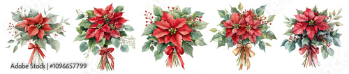 Set of watercolor bouquet of red poinsettia, tied with ribbon, eucalyptus, gum leaves, sage green, watercolor, isolated on a Transparent background