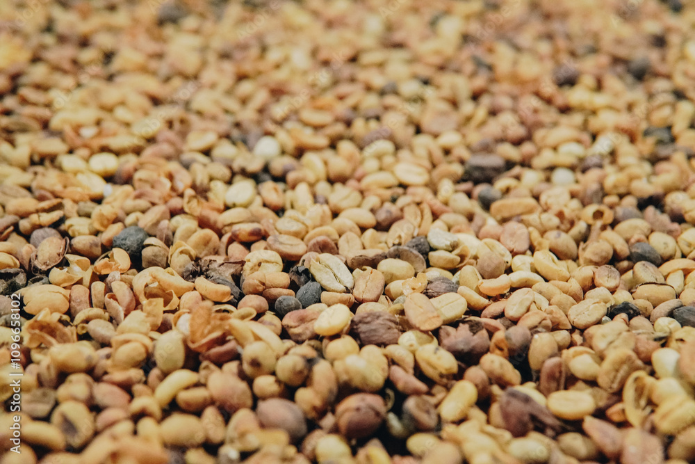 A pile of Indonesian Kopi Luwak or Civet Coffee. A pile of Indonesian Kopi Luwak or Civet Coffee.
