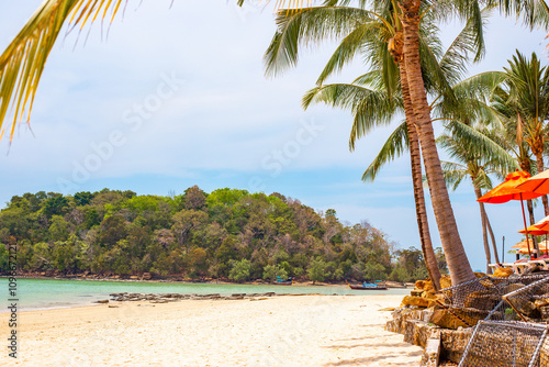 Seascape. Travel and tourism. Tourist longtail boats in the bay on the island in Thailand photo