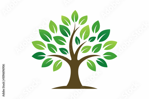 Tree, plant, vector