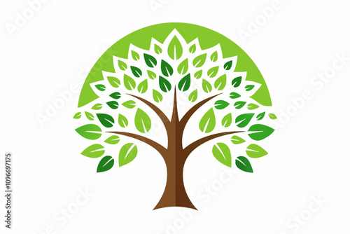 Tree, plant, vector