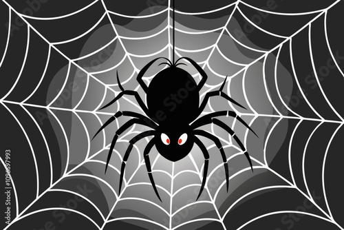 Spider, Halloween, animal