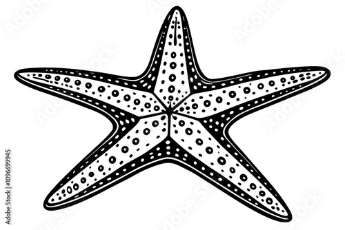 A black and white Starfish  Silhouette