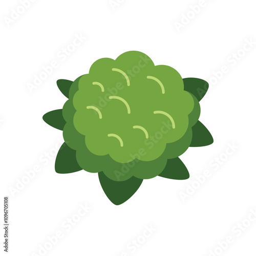 This is a green round bush growing in a spring garden