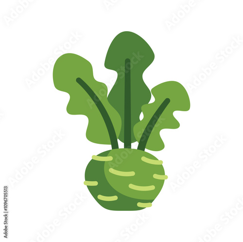 This vector illustration of a kohlrabi features bold colors and a simple design, perfect for healthy eating projects